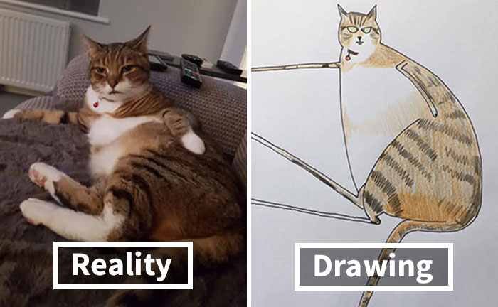 30 Animal Portraits Drawn So Badly, They Look Like Masterpieces
