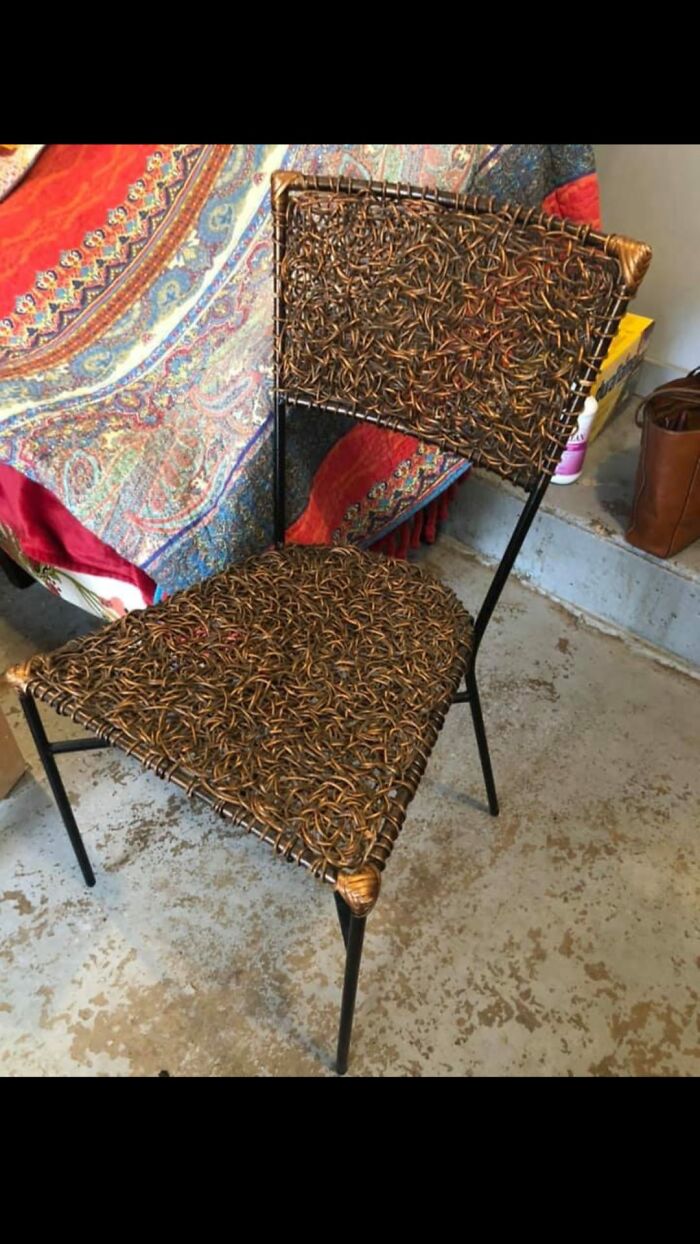 Saw In A Buy Sell Group. I'd Power Wash This Chair All The Way To The Dump Lmao