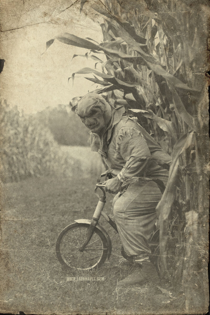 I Photographed Creepy Clowns In A Cornfield Because I Love Vintage Horror Halloween Images