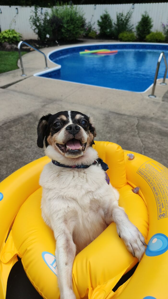 Shea Can't Really See Or Hear Anymore But She Can Float!