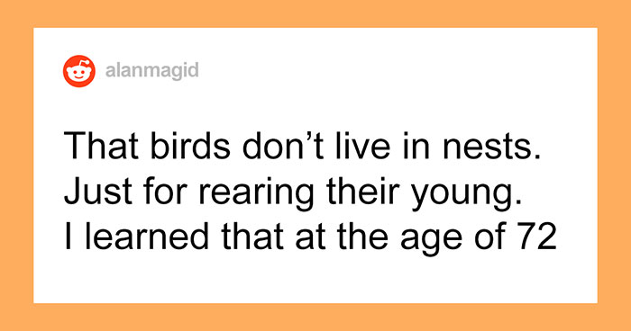 People Are Sharing Things They’ve Learned Embarrassingly Late In Life, And Here Are The 50 Best Answers