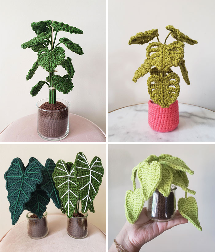 ¡Mi colección de plantas de interior en crochet!