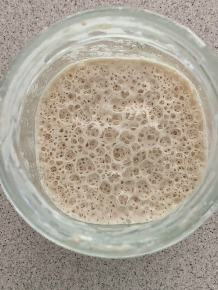 My Sourdough Starter