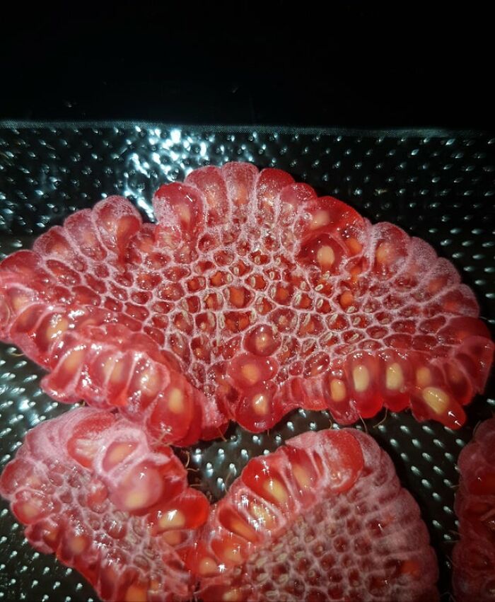 Inside Of A Raspberry