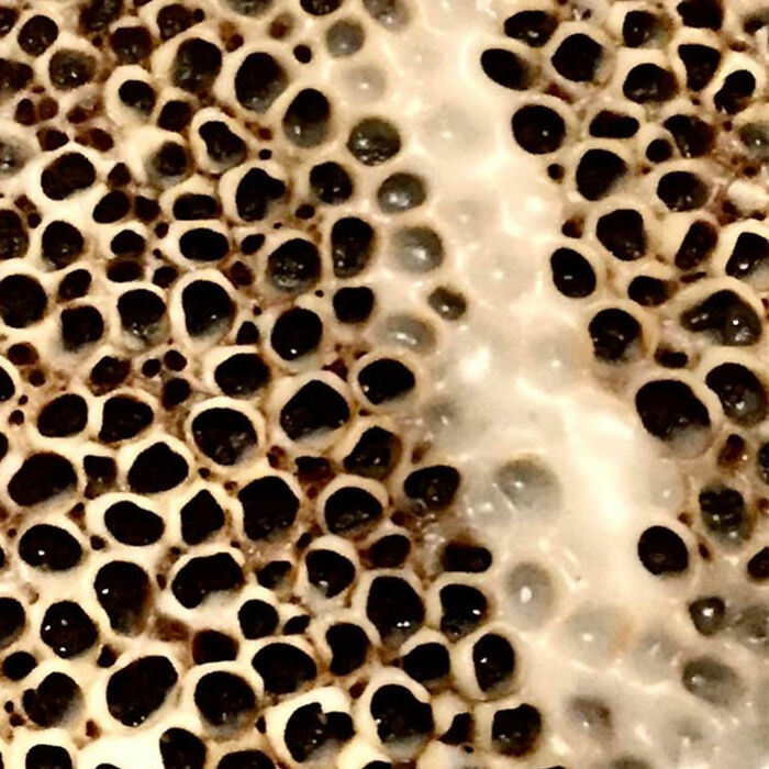 Bottom Of A Bechamel Pot