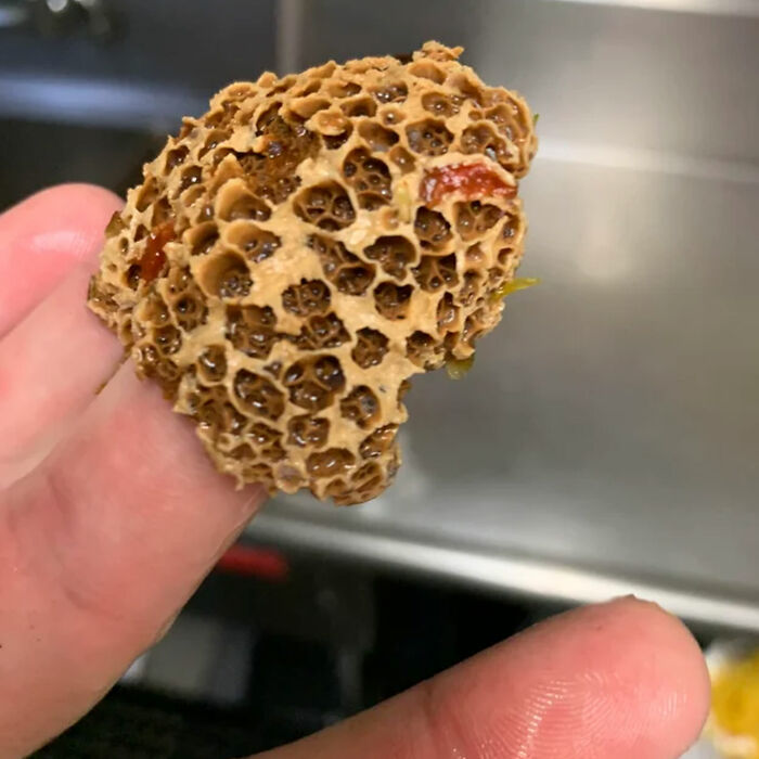 Bet You Can’t Guess What This Is. Hint: It’s In A Restaurant (Not A Mushroom)