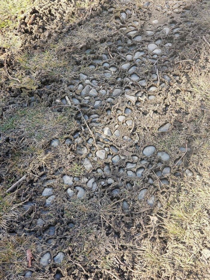 The Ground Outside My Apartment