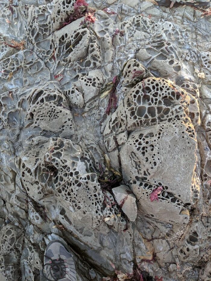 These Boulders At The Tide Pools