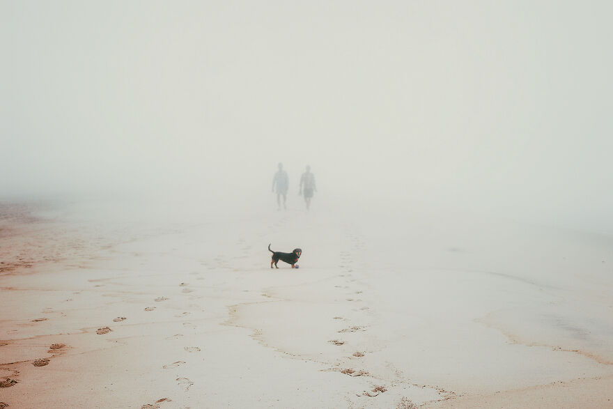 What Makes A Photographer: 8 Visual Artists On Their Path To Becoming A Photographer What Makes A Photographer: 8 Visual Artists On Their Path To Becoming A Photographer