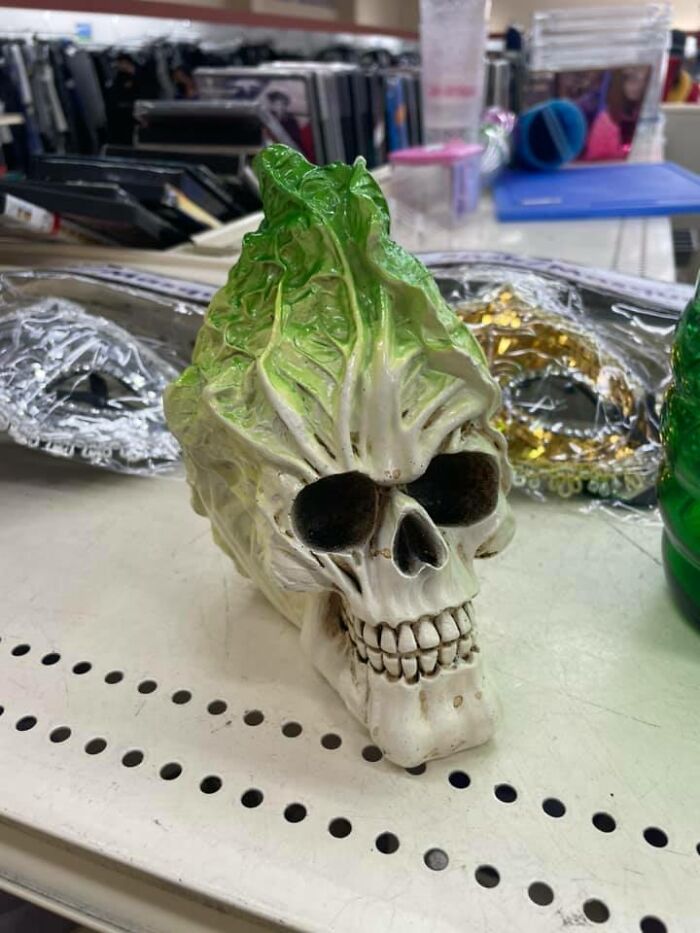 Cabbage Skull Found At Goodwill In Los Angeles. Would Be Very Cool In Someone’s Garden!