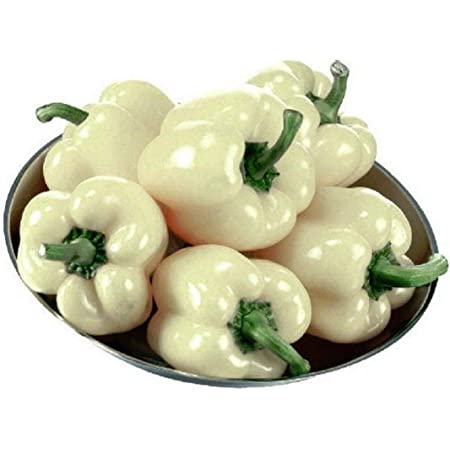 white-bell-peppers-613f64d1ca2a5.jpg