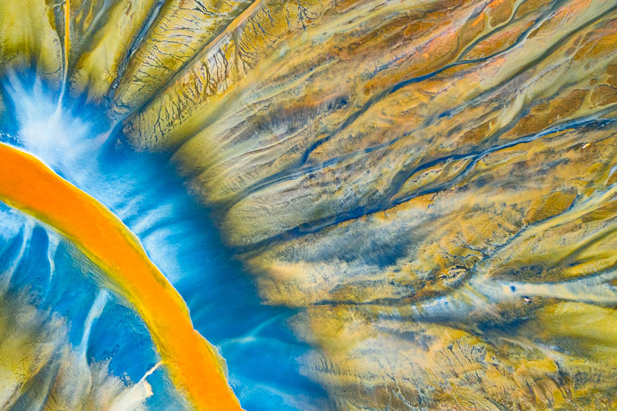 Toxic Design By Gheorghe Popa (Romania), Highly Commended In Natural Artistry