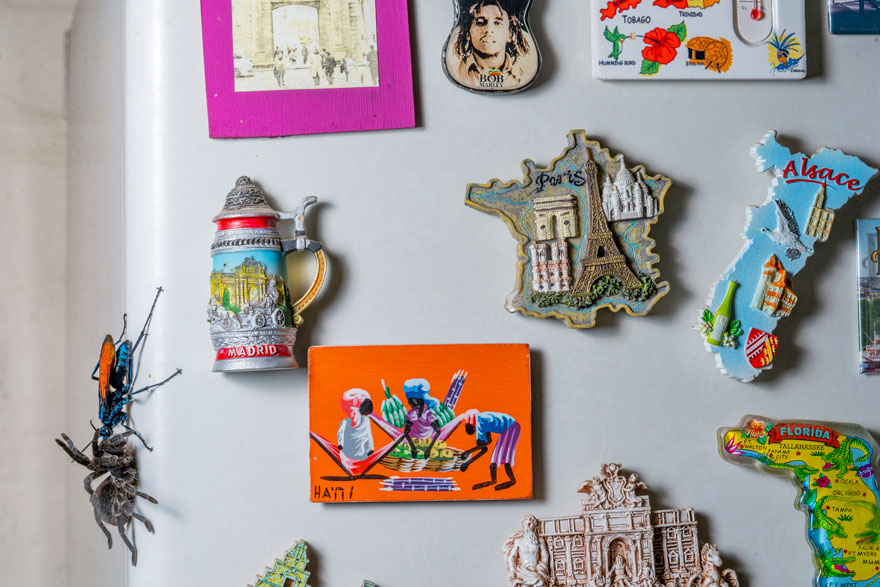 Natural Magnetism By Jaime Culebras (Spain), Highly Commended In Urban Wildlife