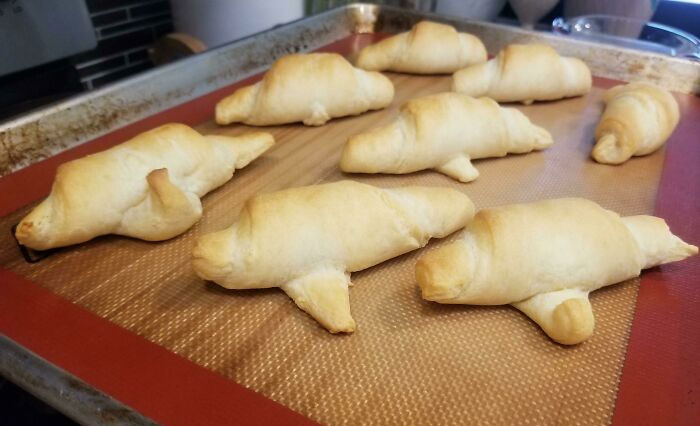 My Crescent Rolls Came Out Looking Like Walruses That Just Can't Anymore