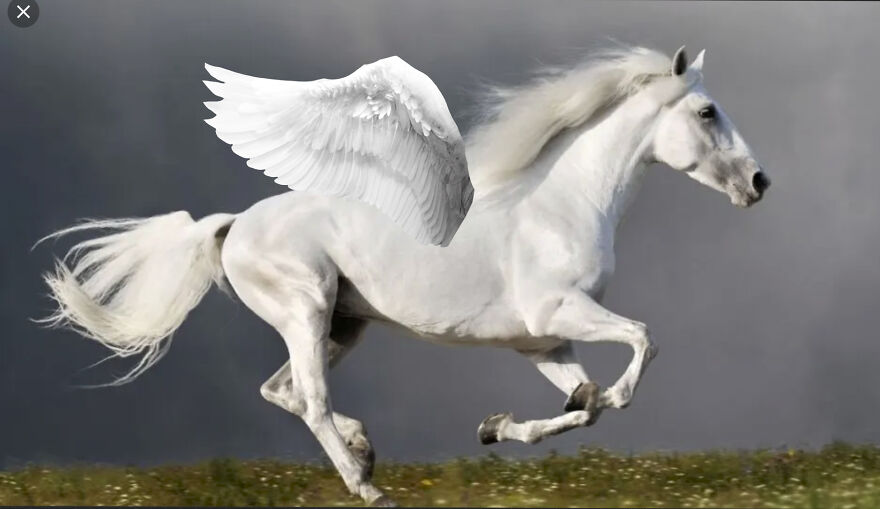 40 Low-Effort Photoshop Mythical Creatures