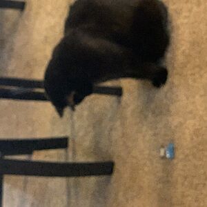 jonfriedman00 avatar