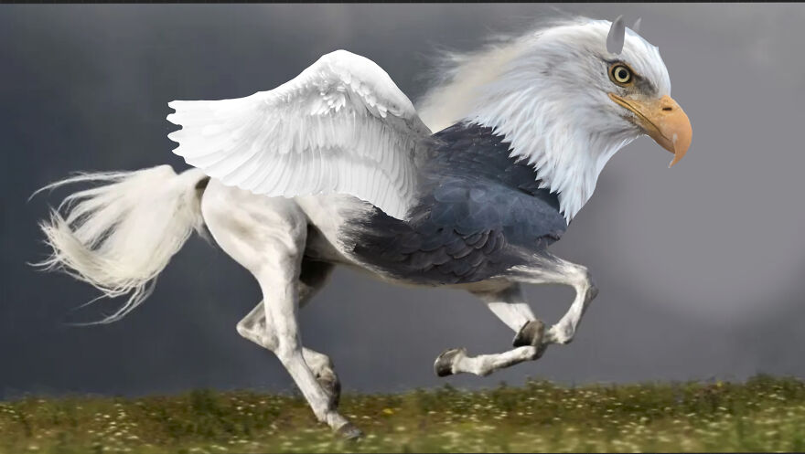 40 Low-Effort Photoshop Mythical Creatures