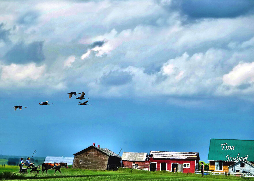 More Recent Road Trips In And Around Calgary Alberta