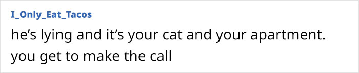 Woman Is Asking If She Was A Jerk For Kicking Her Boyfriend Out Of Her Apartment When She Overheard Him Talking Maliciously To Her Cat Woman Is Asking If She Was A Jerk For Kicking Her Boyfriend Out Of Her Apartment When She Overheard Him Talking Maliciously To Her Cat