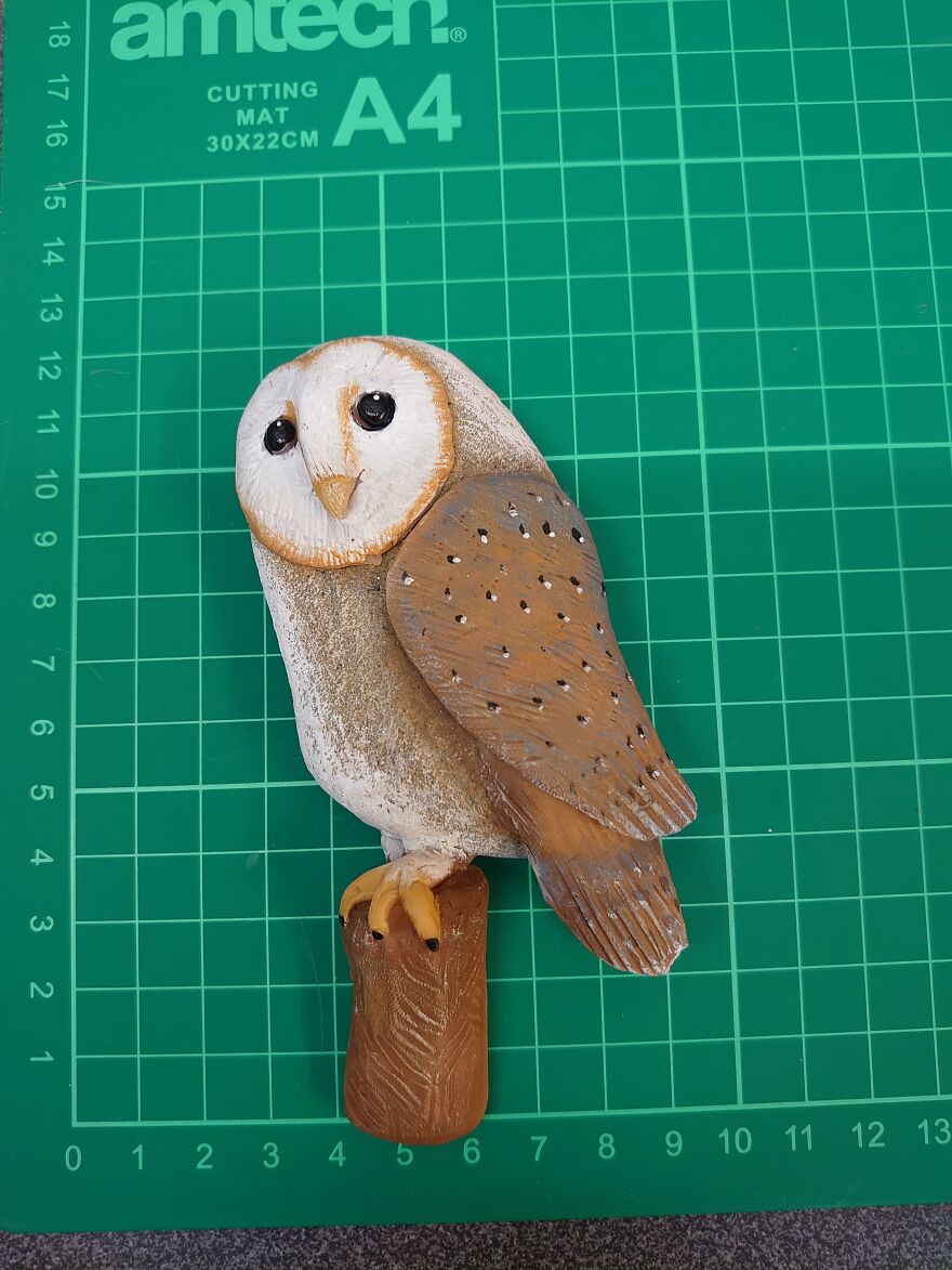 Pebble Barn Owl