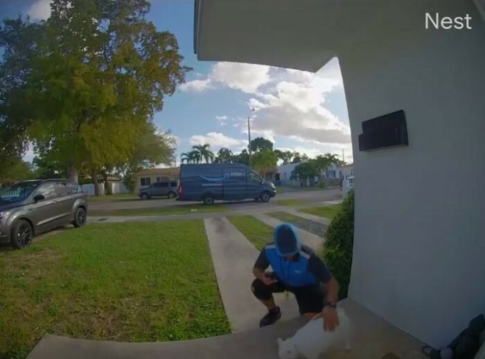 Meet Tuna, A Cat Who Befriends Delivery Men And Her Owner Posts About It On Instagram Meet Tuna, A Cat Who Befriends Delivery Men And Her Owner Posts About It On Instagram