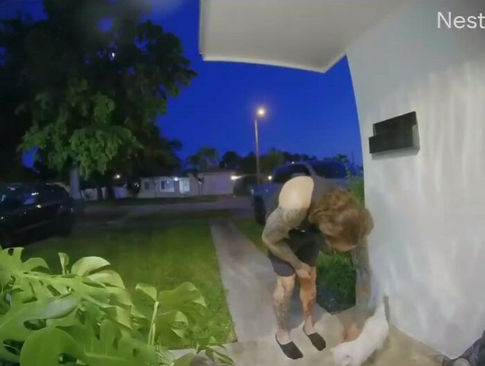 Meet Tuna, A Cat Who Befriends Delivery Men And Her Owner Posts About It On Instagram Meet Tuna, A Cat Who Befriends Delivery Men And Her Owner Posts About It On Instagram