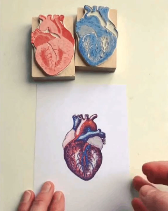 Anatomical Heart Stamps