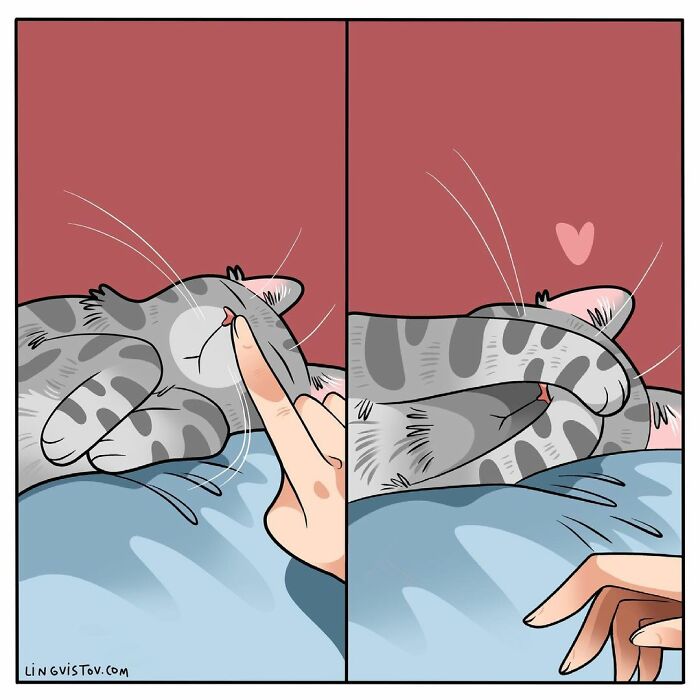 Artist Illustrates What It's Like To Live With A Cat (30 New Pics)