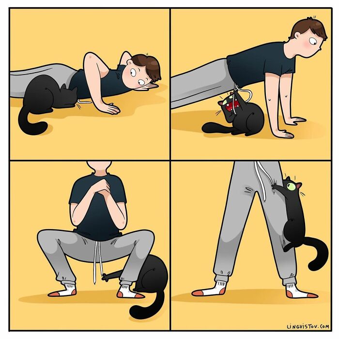 Artist Illustrates What It's Like To Live With A Cat (30 New Pics)
