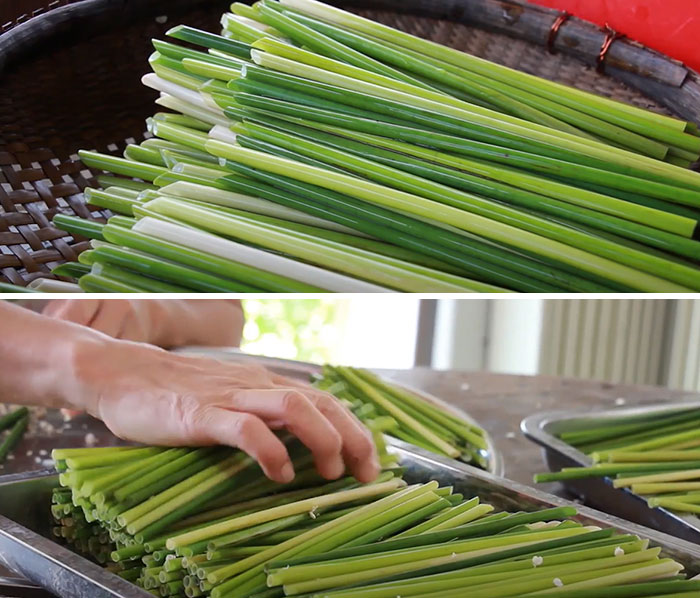 Biodegradable Zero-Waste Sedge Grass Straws Made In Vietnam
