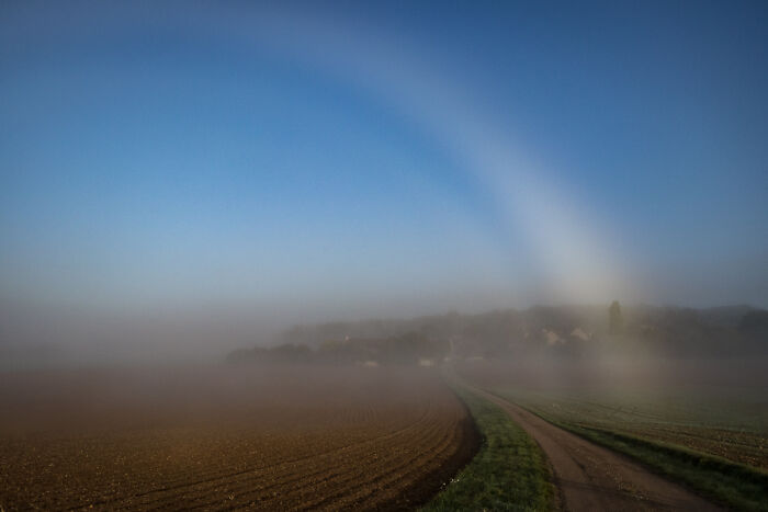 A White Bow Is A Rainbow Caused By Fog, Not By Rain.