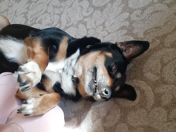 I Miss This Goofy Old Man