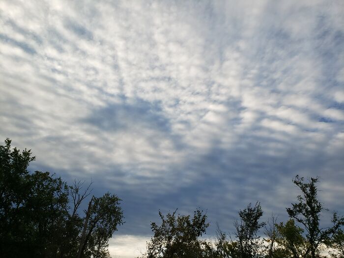 The Sky Was So Weird Last Week, I Must Have Taken 50 Photos. This Looked Like A Cat To Me. After This, It Got Really Foggy. "The Fog Comes. On Little Cat Feet. It Sits Looking. Over Harbor And City. On Silent Haunches. And Then Moves On." Carl Sandburg