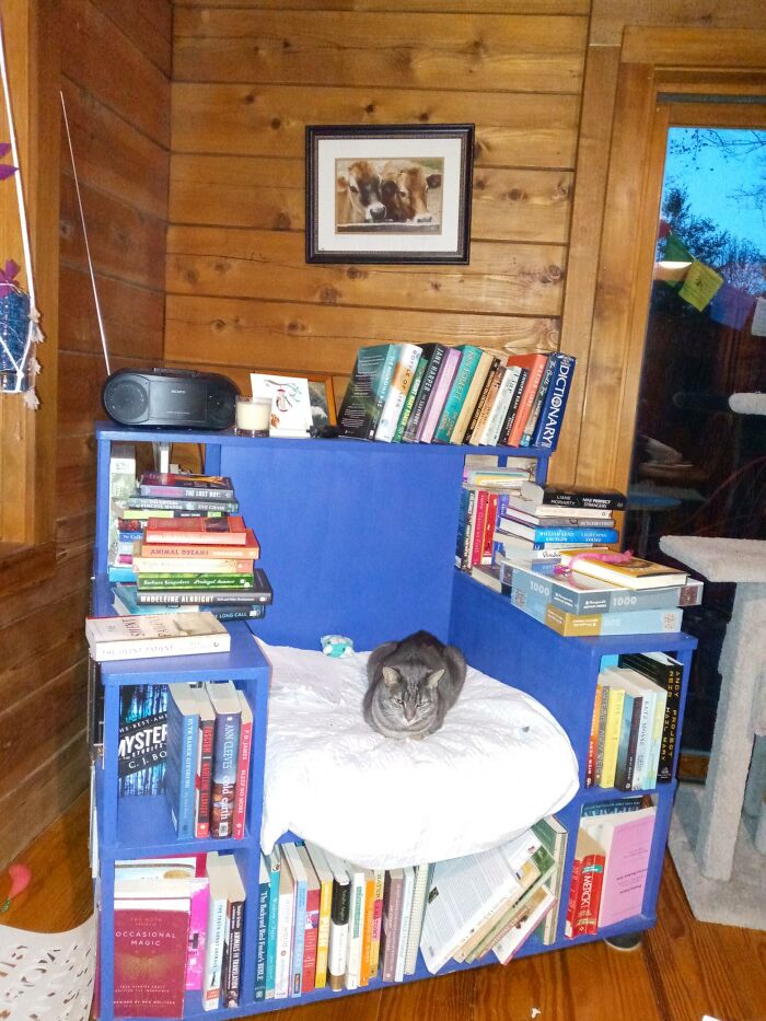 My Bookshelf Chair, Complete With Cat.