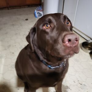 jennifereigenheer avatar