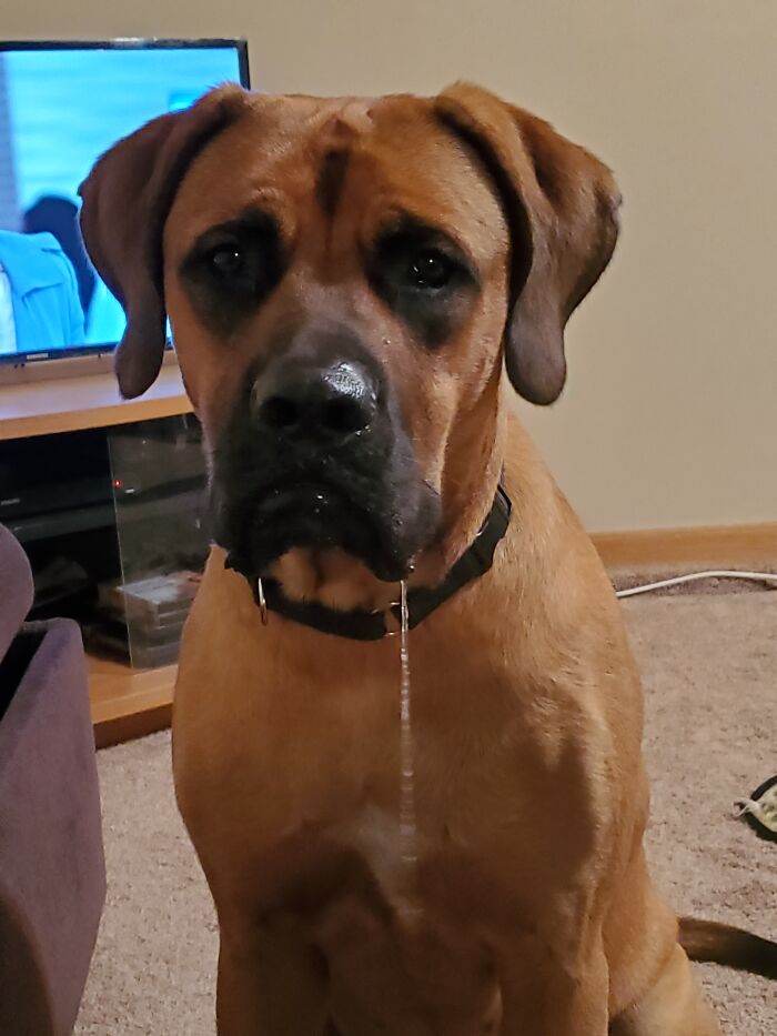 Waiting On My Hamburger