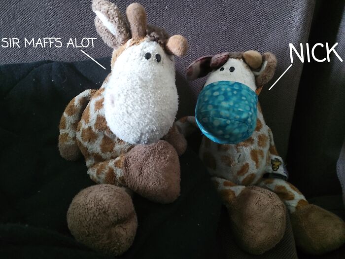 Here We Have Nick And Sir Maffs Alot Nick Has Been Lost So Many Times That My Mum And Dad Have Had To Replace Him He Is Like The 5th Or 6th One Sir Maffs Alot Is The Original Brand Is Niki And There Model Is No Longer Available 😢