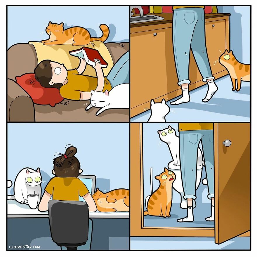 Comics That Those With A Cat Will Understand Perfectly (86 New Pics)