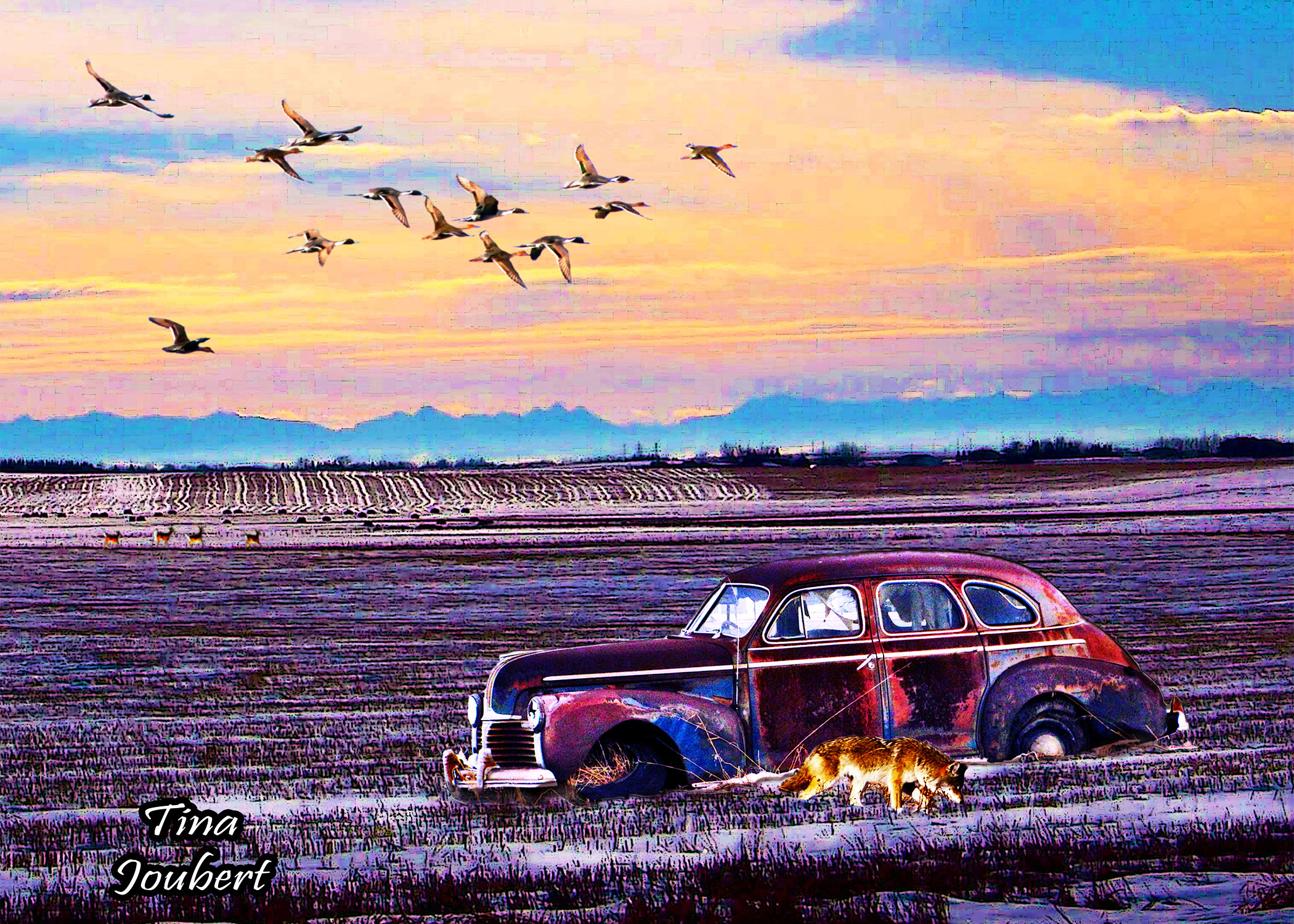 More Recent Road Trips In And Around Calgary Alberta