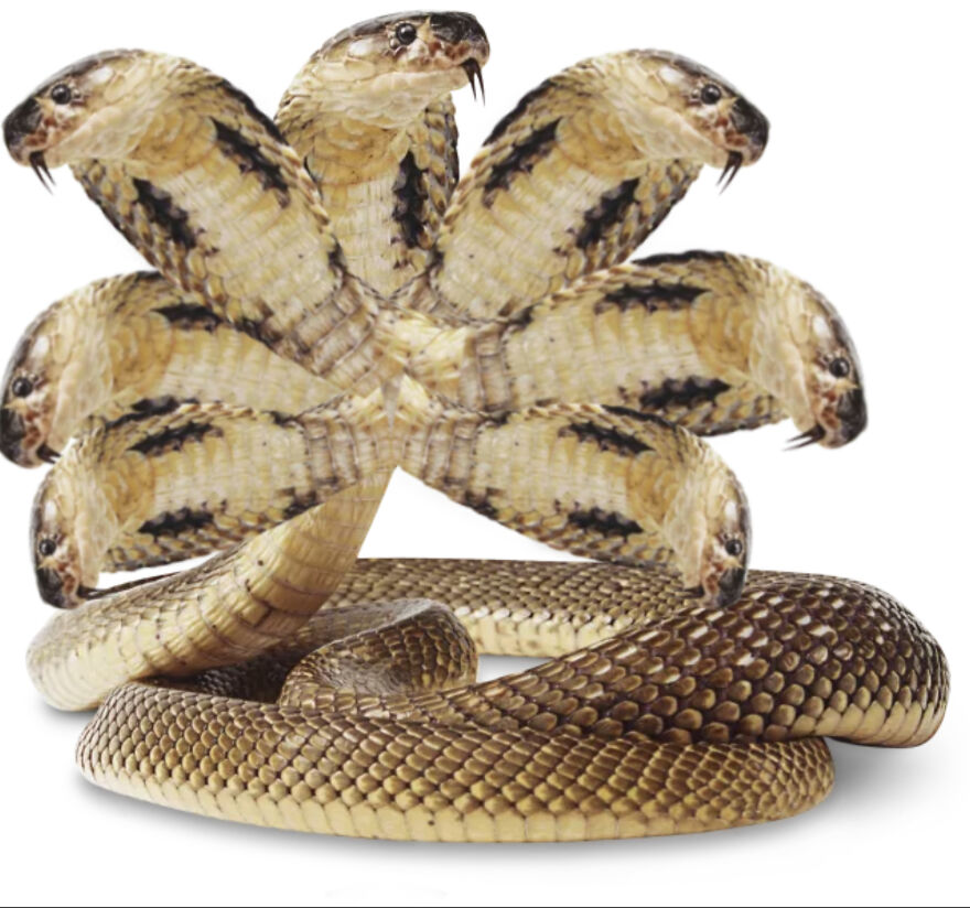 40 Low-Effort Photoshop Mythical Creatures