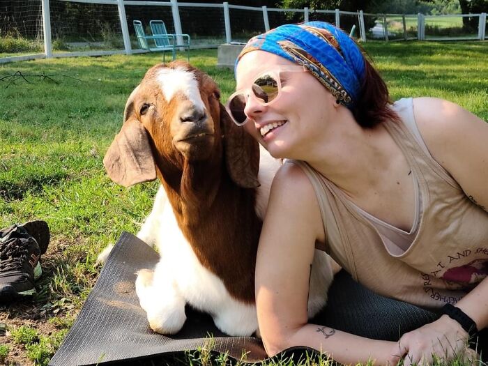 A New Kind Of Animal Rescue: Check Out These Cute Goats And Sheep A New Kind Of Animal Rescue: Check Out These Cute Goats And Sheep