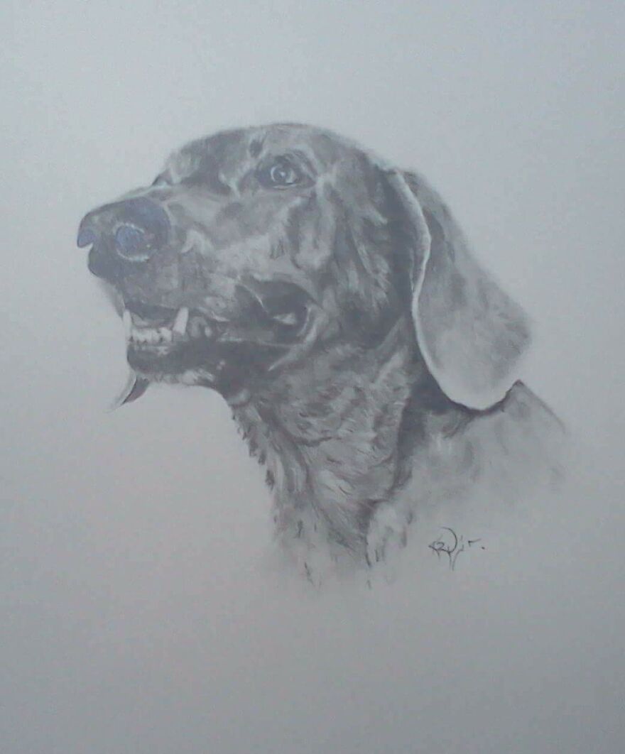 My Art. Pencil Drawings