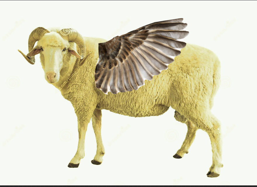 40 Low-Effort Photoshop Mythical Creatures