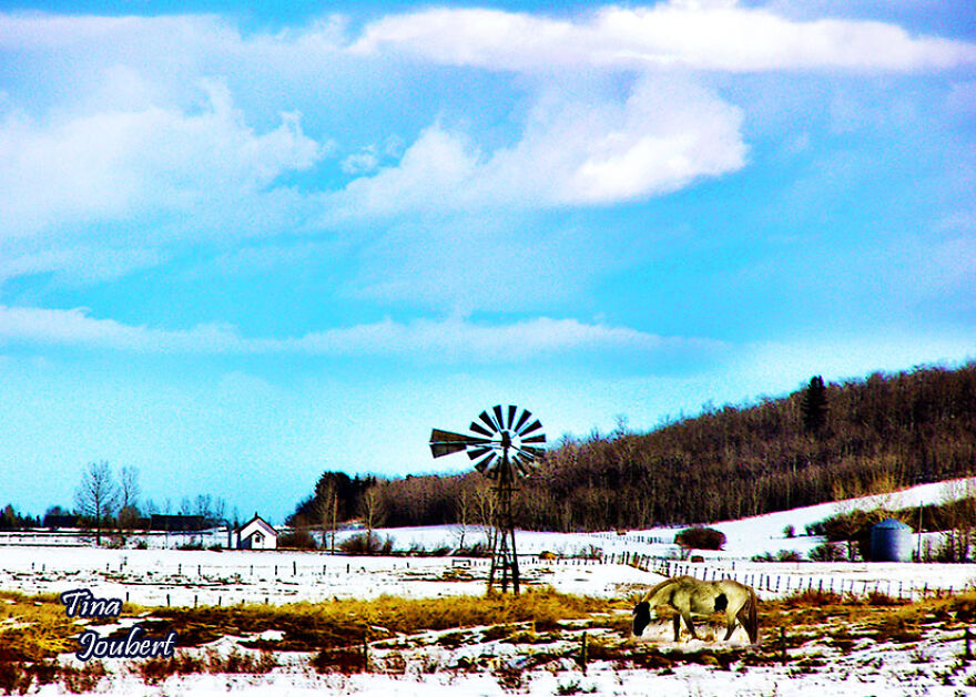 More Recent Road Trips In And Around Calgary Alberta