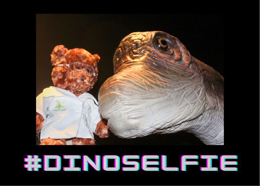 We Made These Adorable Scientist Teddy Bears For A Child Advocacy Center