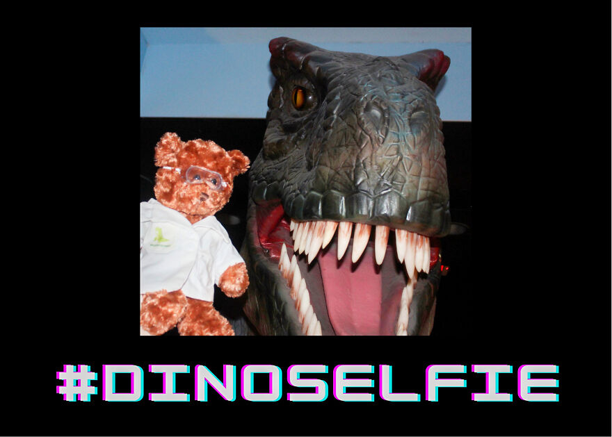 We Made These Adorable Scientist Teddy Bears For A Child Advocacy Center