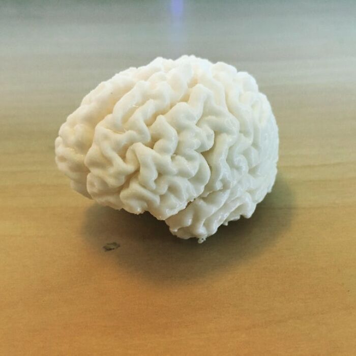 Not Sure If There's An Interest In 3D-Printed Brains? Here's Mine From 2016 When I Converted My (And My Friends') Fmri Scans Into A Printable Stl.