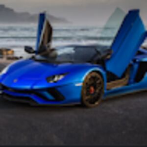 taylarburgess avatar