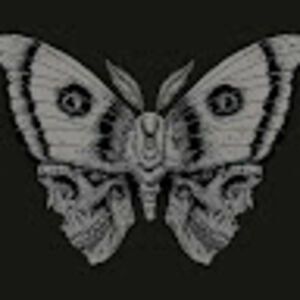 brandibertrand avatar