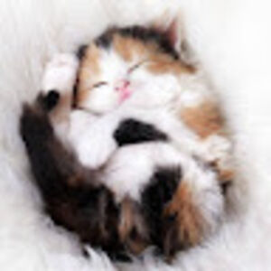 ayla1990ayla1990 avatar